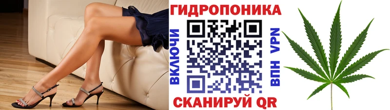 Каннабис ГИДРОПОН  MEGA tor  Калач  купить наркотики сайты 